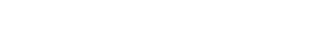 SN Horizon Logo