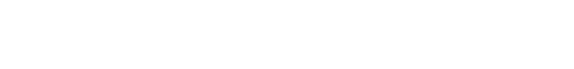 SN Horizon